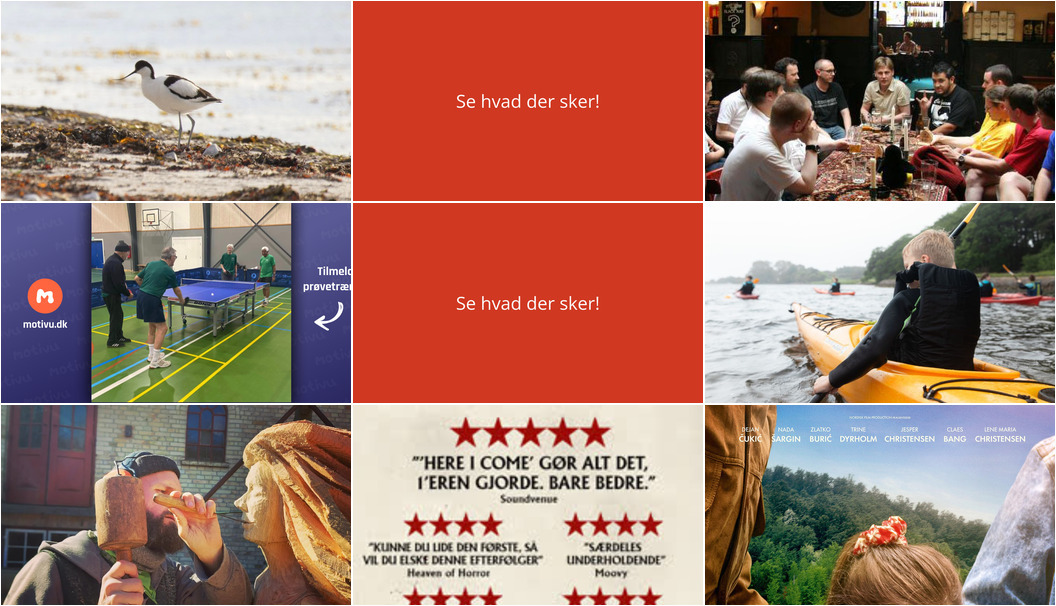 Oplev Faaborg denne weekend: Fugleture, kulturaktiviteter og kajakeventyr