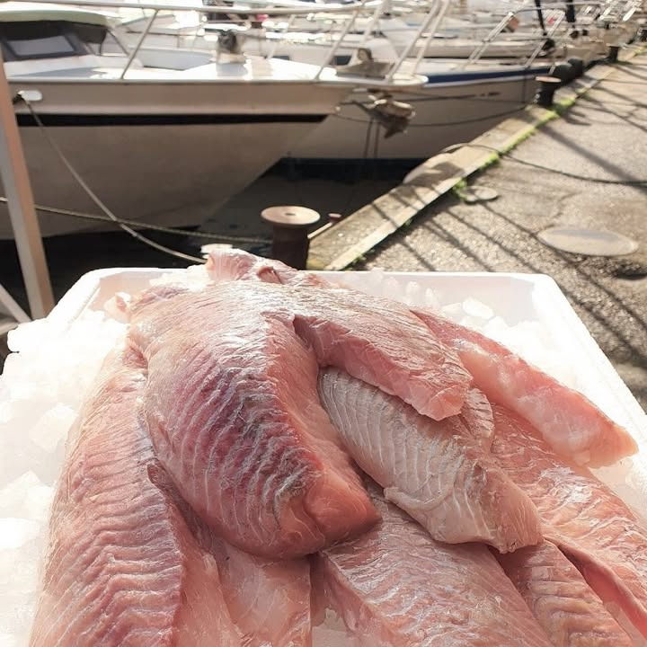 Bestil mørksejfilét nu hos SUPERBRUGSEN DRONNINGLUND