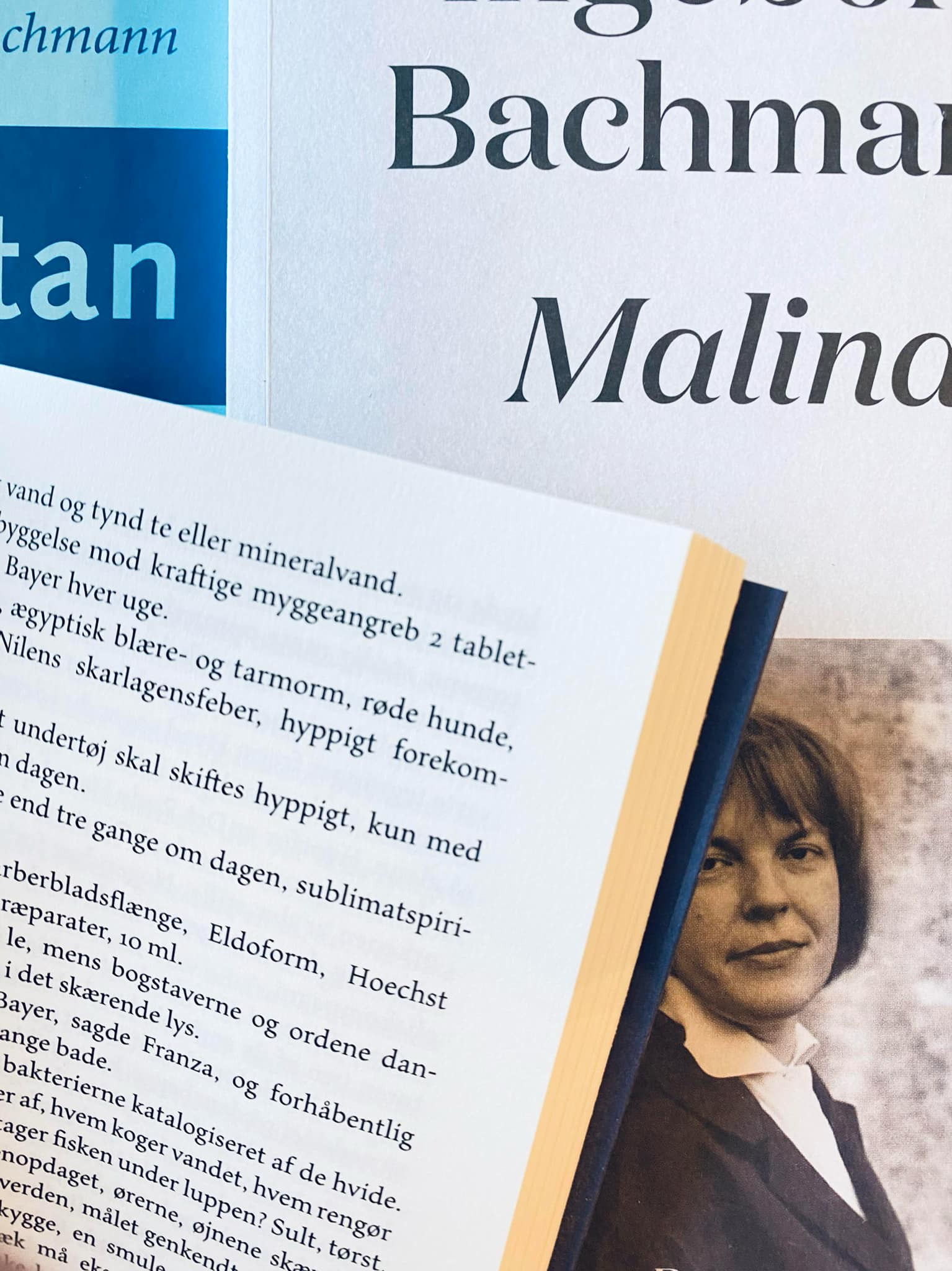 Kasper Green Munk kaster lys på Ingeborg Bachmanns forfatterskab