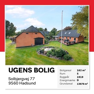 opslagsbillede