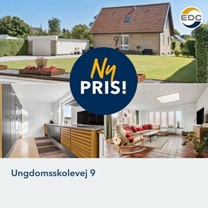 Opslagsbillede