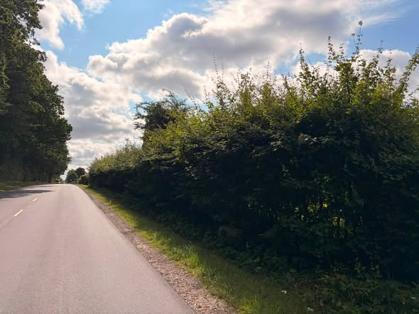 BP GreenGarden giver hækken en kærlig omgang