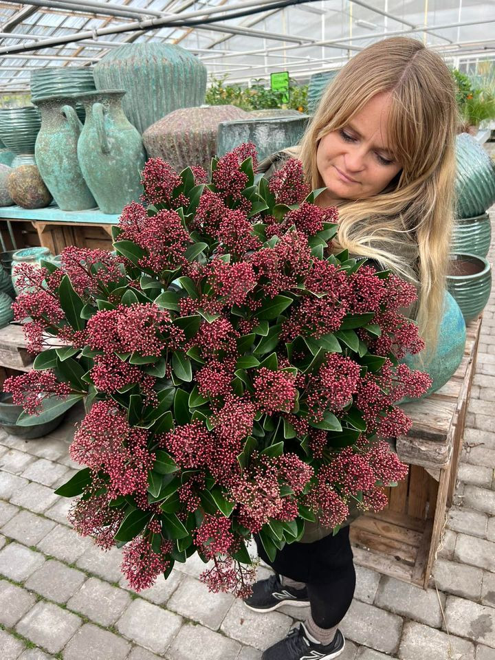 Det nyeste på Sæbys opslagstavle