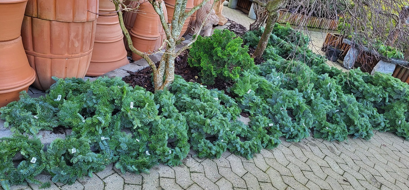 Hold trit med lokalområdet: Nyt fra Viborg