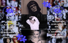 Musikalske oplevelser på Gnisten i Ry: Fra koncerter til fællessang