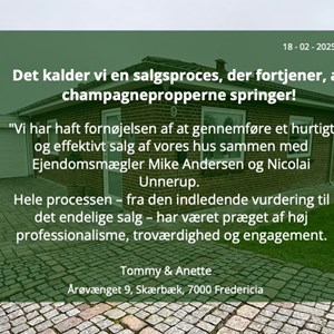 Opslagsbillede