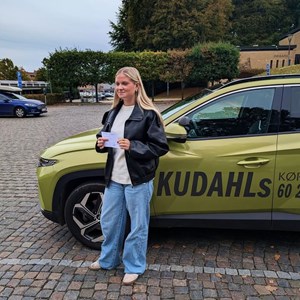 Opslagsbillede
