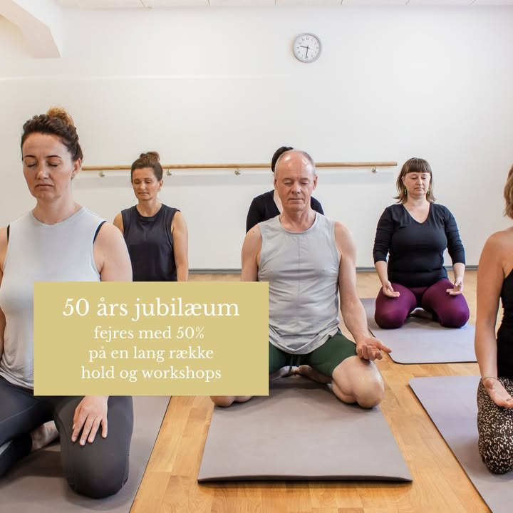 Fokus Folkeoplysning fejrer 50 års jubilæum med rabat på blid yoga