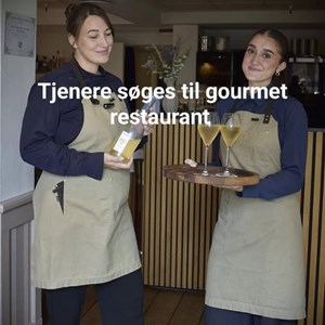 Opslagsbillede