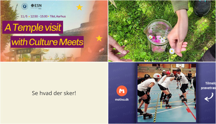 Udforsk kultur, natur og sport: Begivenheder i Tilst den kommende uge