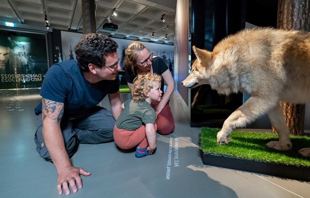 Museumsprojekt sætter spot på det mangeartede