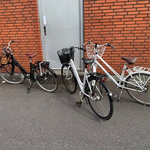 Opslagsbillede
