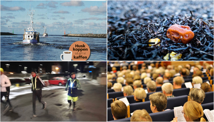 Ugen i Hvide Sande: Fra personlige fortællinger til ravsafari og motionsfællesskab