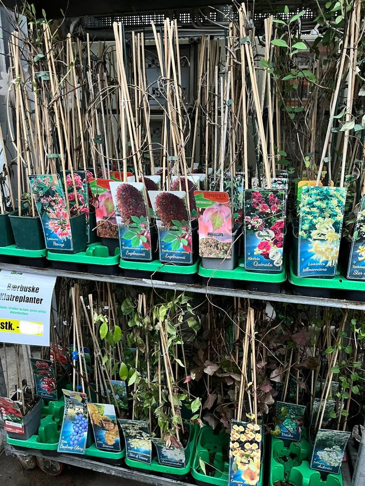 En finger på pulsen i Horsens