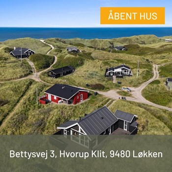 Opslagsbillede