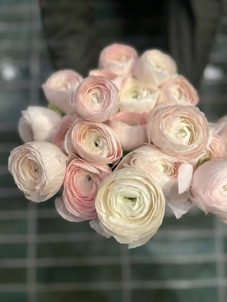 Birthes Blomster v/Sarah Hall fremhæver ranunkler som sæsonens stjerne