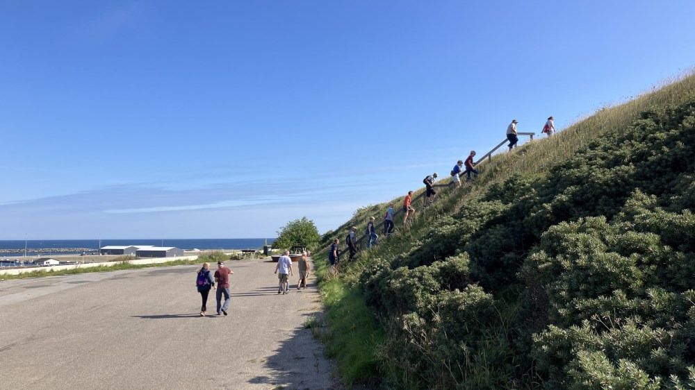 Gå i gang med Nationalpark Thy Venner i Hanstholm