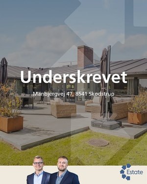 opslagsbillede