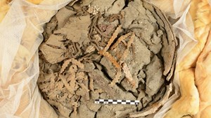 Oplev historie og kunst på Strandingsmuseum St. George