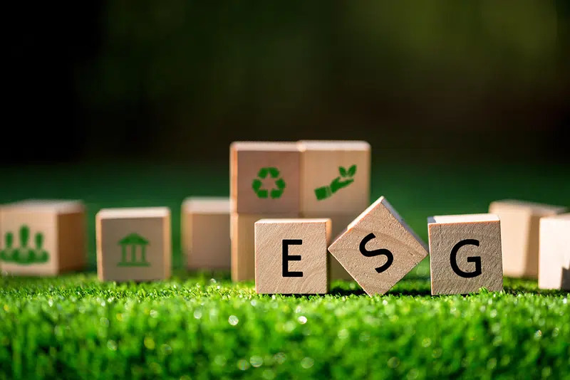 Kolding Kommune lancerer ESG-undervisningsforløb for lokale virksomheder