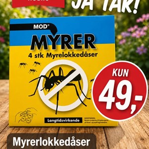 Opslagsbillede