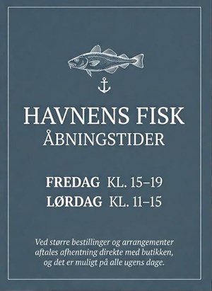 opslagsbillede