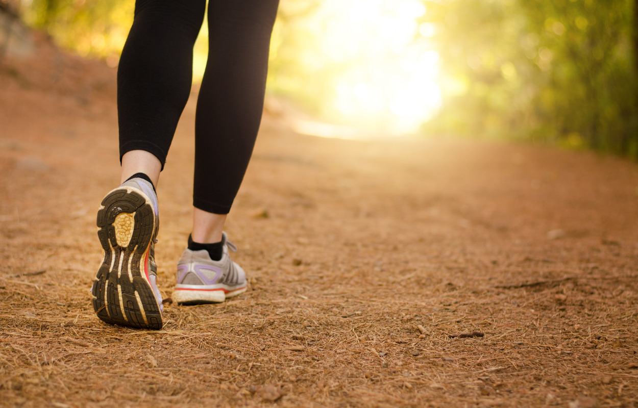 Guidet vandretur: Oplev naturen i Aalestrup