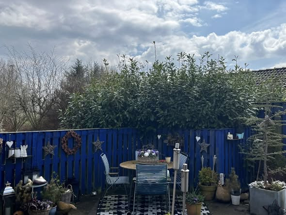 BP Green Garden tilbyder alt til din have, fra beskæring til klargøring