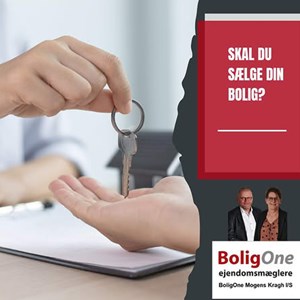 Opslagsbillede