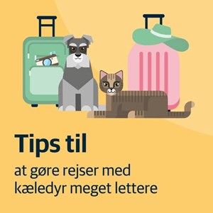 Opslagsbillede