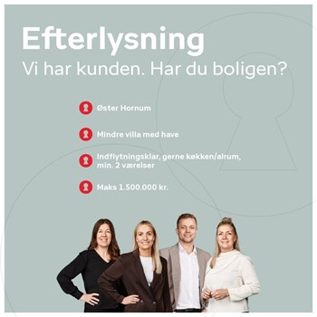 Opslagsbillede