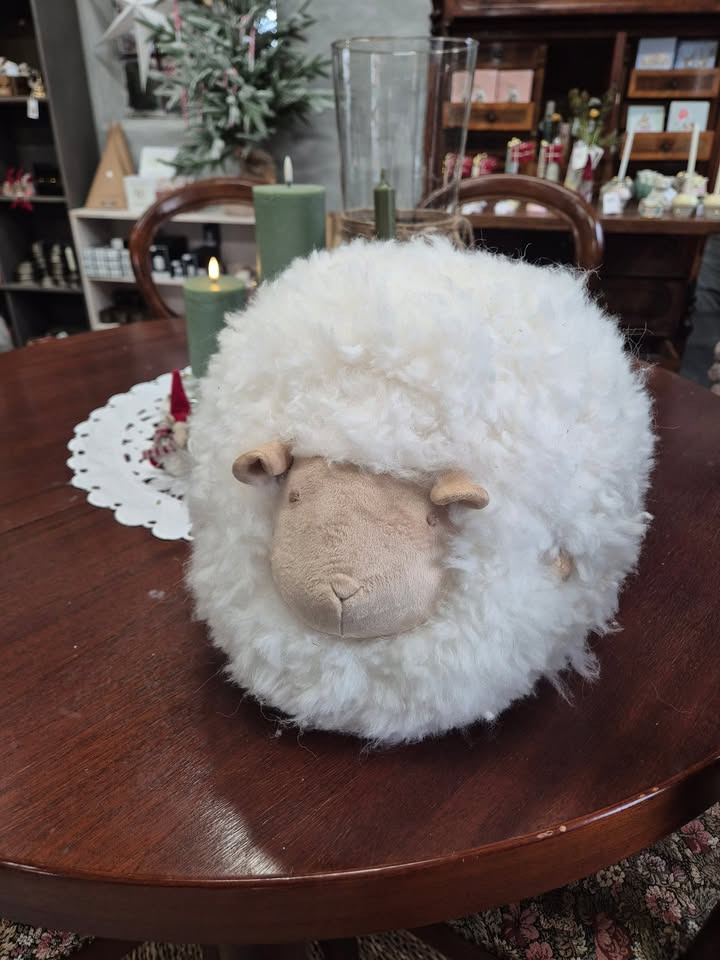 Totte-Lotte finder et nyt hjem hos Hanne Line Rohlén, annoncerer Jensen Jordbær