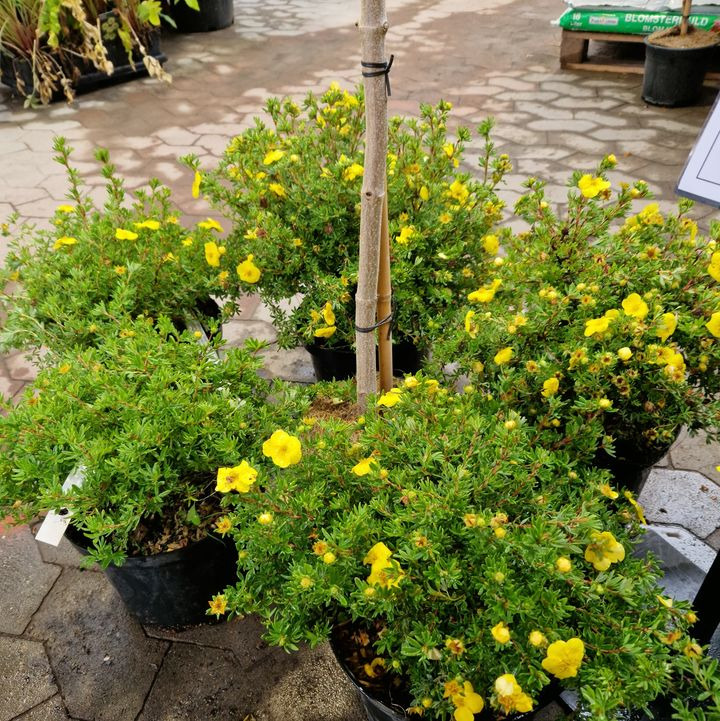 Opslagstavlen: Nyeste opdateringer fra Hobro