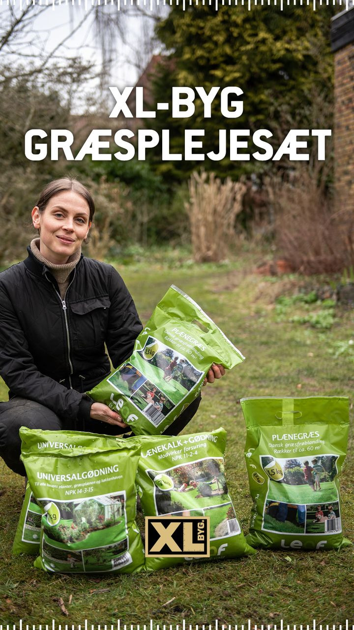 Hold dig ajour med dagens opdateringer fra Hals