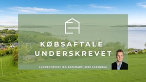 opslagsbillede