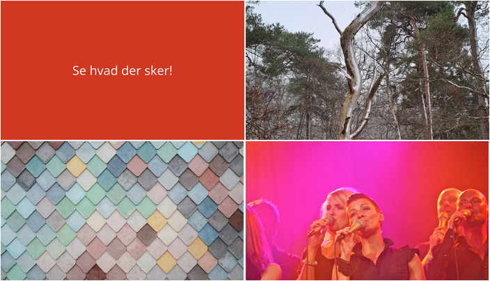 Begivenheder i Stege den kommende uge: Vandreture, fællesresignation og sangcaféer