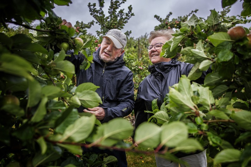 Hold dig ajour med dagens opdateringer fra Sæby