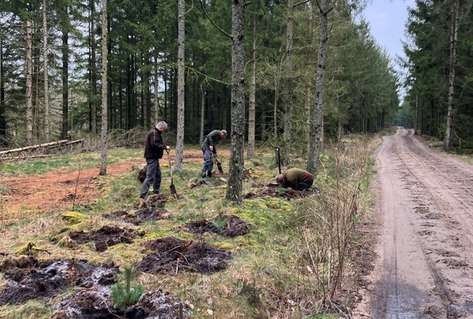 Skive Jagtforening og Skive Disc Golf klub havde arbejdsdag i Skive Plantage.