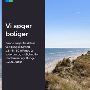 Opslagsbillede