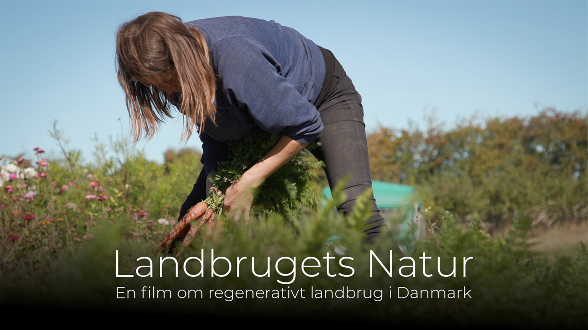 Filmen Landbrugets Natur og instruktør Isabelle Denaro kommer til Ry den 20. august