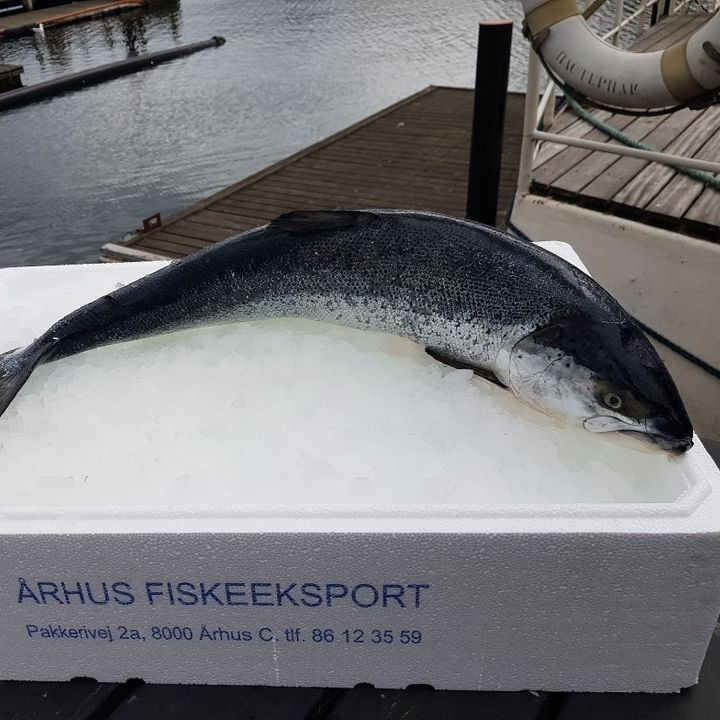 Superbrugsen Dronninglund frister med tilbud på hel laks
