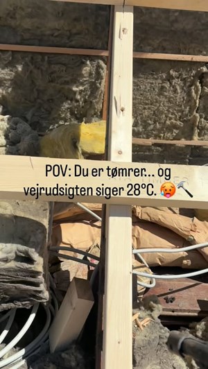 opslagsbillede