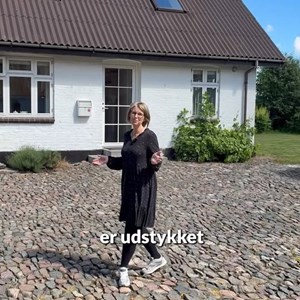 Opslagsbillede