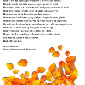 Opslagsbillede