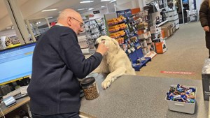 Høj Data ApS: Halloween-godbidder til både børn og hunde i år