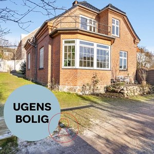 Opslagsbillede