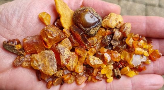 Oplev ravets magi i Hals: Fra kreative værksteder til strandjagt