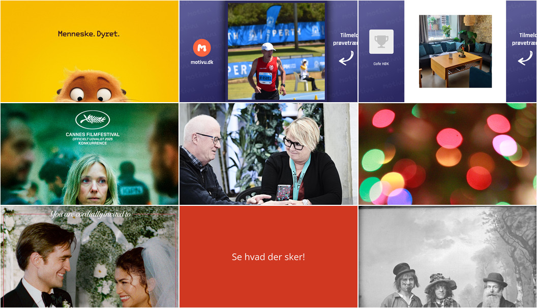 Fra animationsfilm til åbne caféer: Ugen i Aalborg byder på mange oplevelser