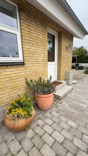 opslagsbillede