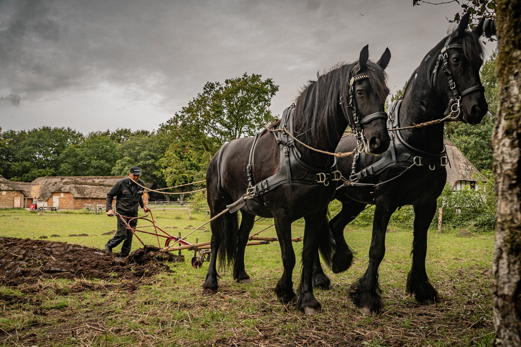 Hjerl Hede Frilandsmuseum inviterer: Dyrk maden - smag på mark og have 